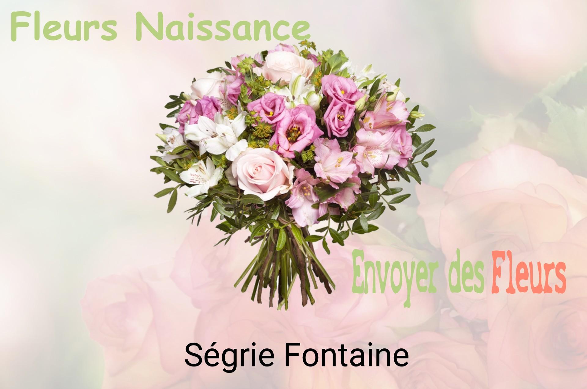 Bouquet de fleurs de naissance livré à Ségrie-Fontaine