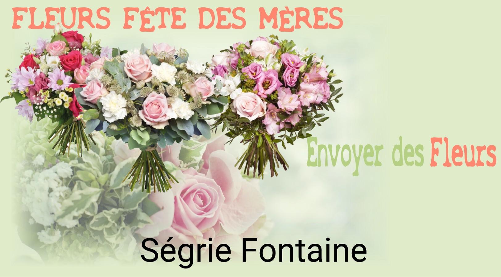 Bouquet de Fête des Mères livré à Ségrie-Fontaine